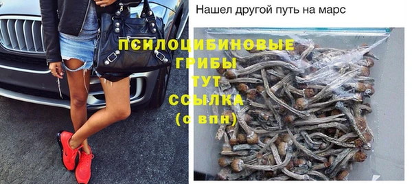 прущая мука Осинники