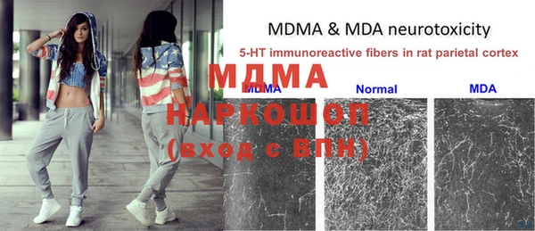 стаф Осташков