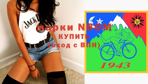 стаф Осташков