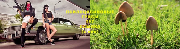 стаф Осташков