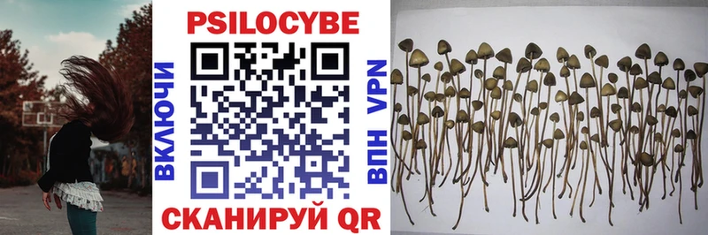 Псилоцибиновые грибы Cubensis  Электроугли 
